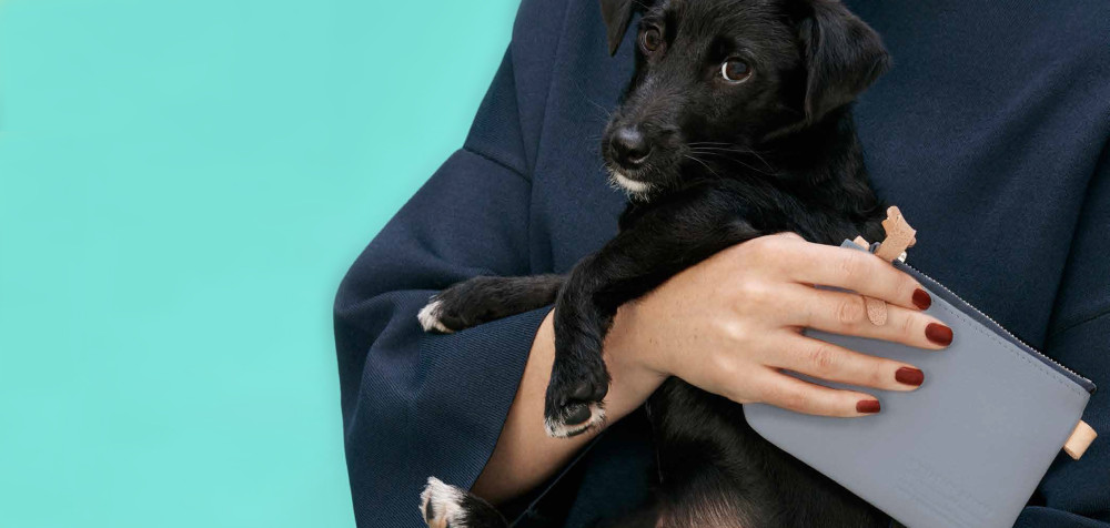 Whistles collaboration