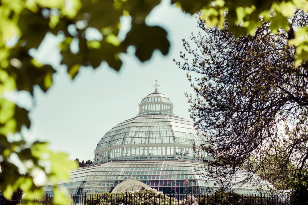 Sefton Palm House wins green tourism award