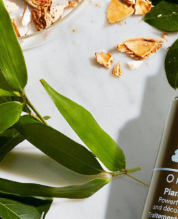skincare essentials