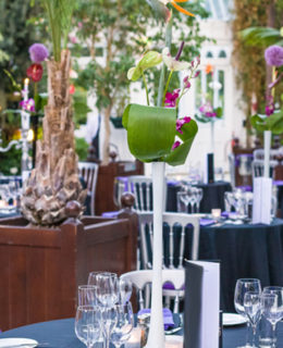 Sefton Palm House fundraising dinner