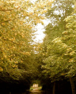 celebrate with carden park