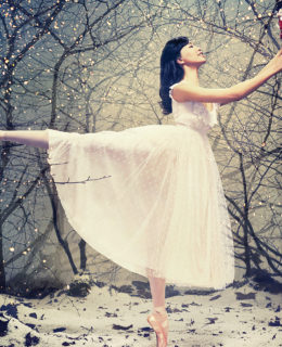English National Ballet presents the Nutcracker