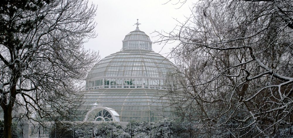 sefton palm house