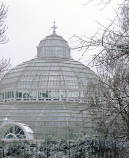 sefton palm house