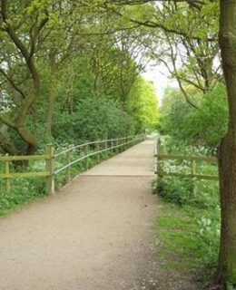 Wheelock Rail Trail: a perfect spot for horse riding