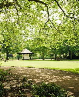 Sefton Park, where you'll find one of our favourite cycling routes