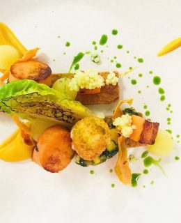 Stay for free at Fishmore Hall