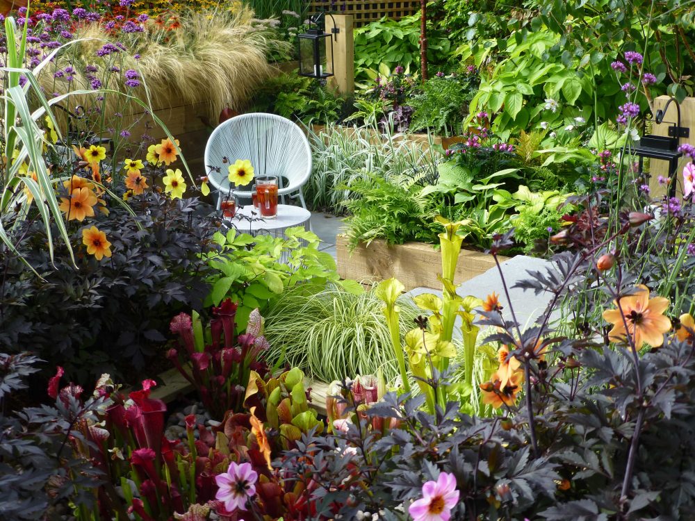 Southport Flower Show review