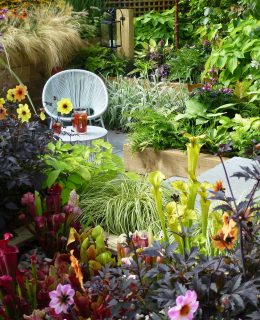 Southport Flower Show review