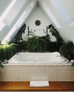 bathroom renovation
