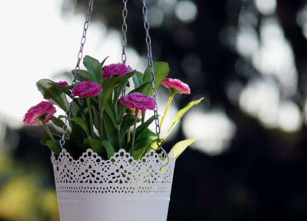 hanging basket
