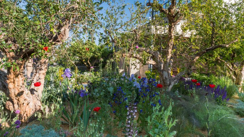 Chelsea Flower Show