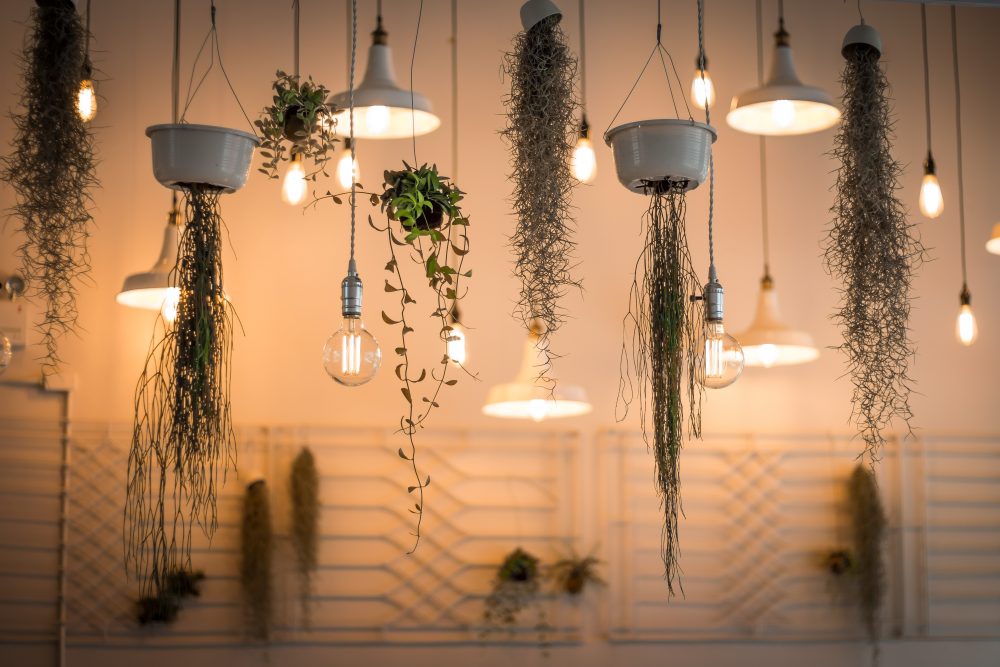 illuminate your home