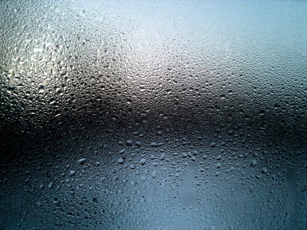 damp