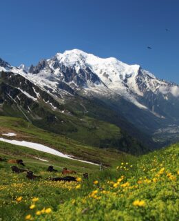 Mont Blanc
