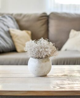 interior design image