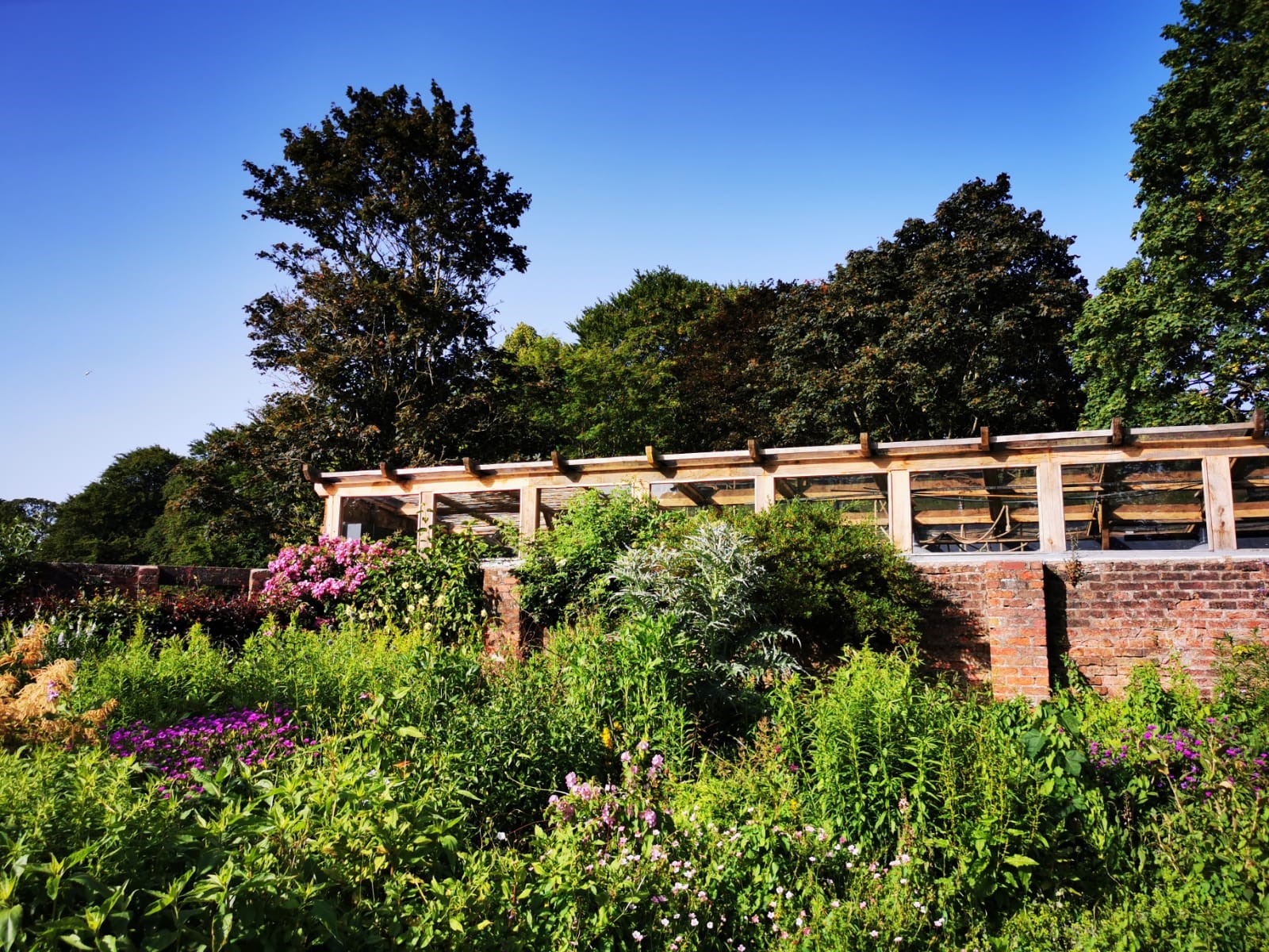 The Watering Can teams up with Liverpool Cares