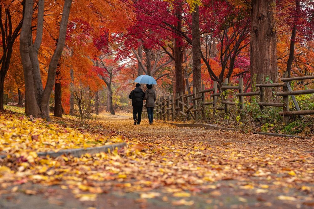 couple in the park