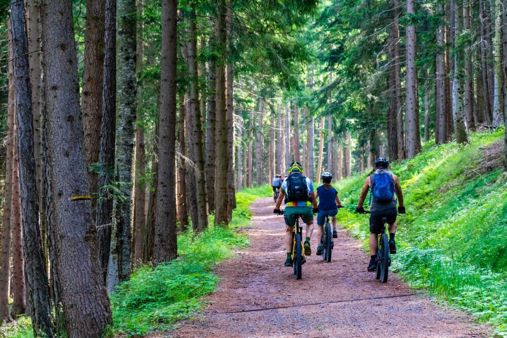 bike riding through a forest