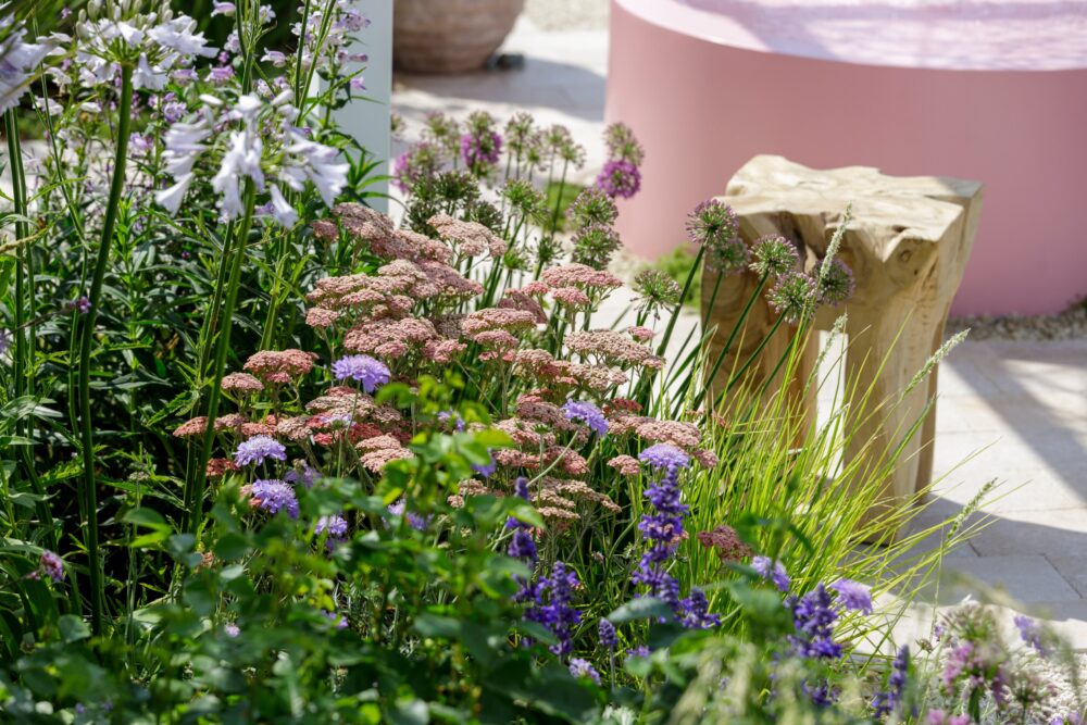 Tatton Flower Show