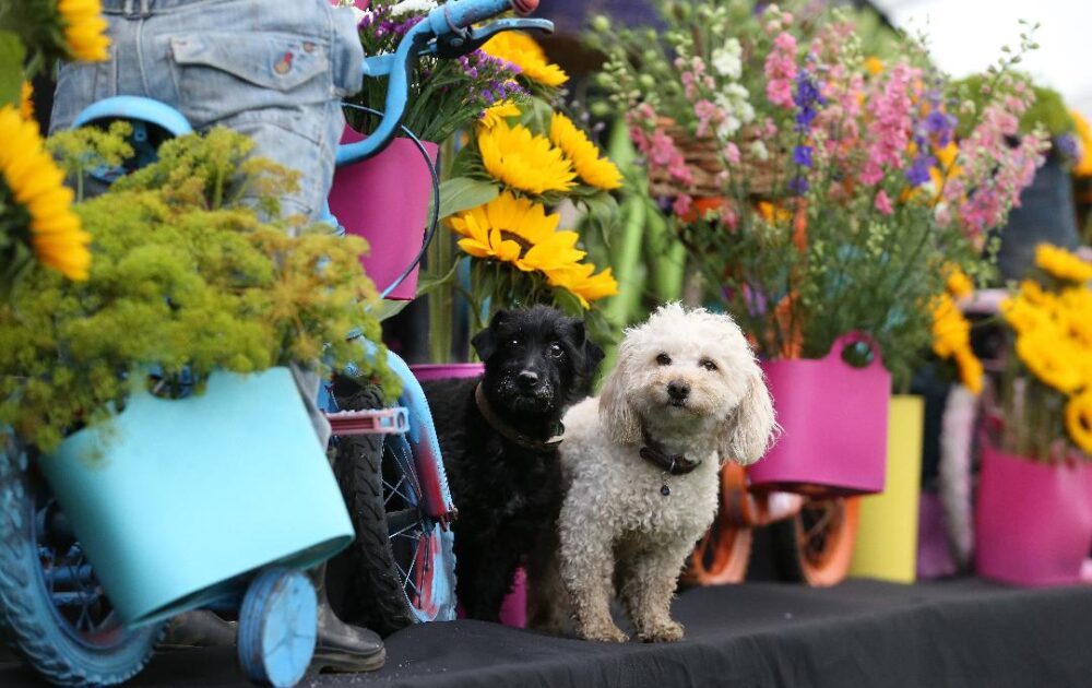 Southport Flower Show