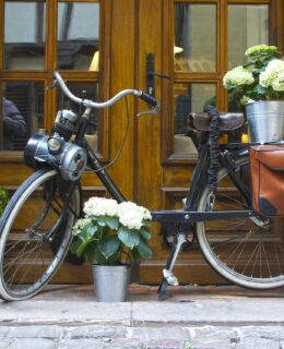 front door with bike