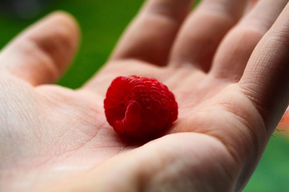 raspberry